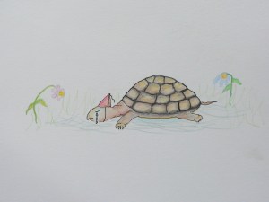 Turtles Birthday Surprise, Illustration for Children's Book, Copyright 2014 Nancy Jane Lang, All rights reserved.