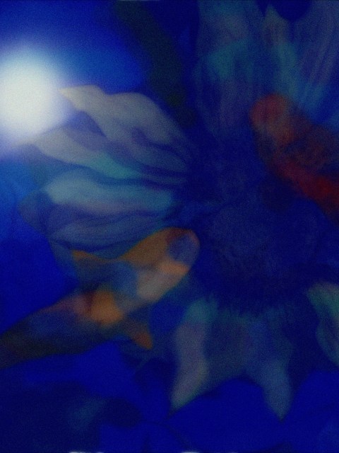 Twilight on Vincent's Pond