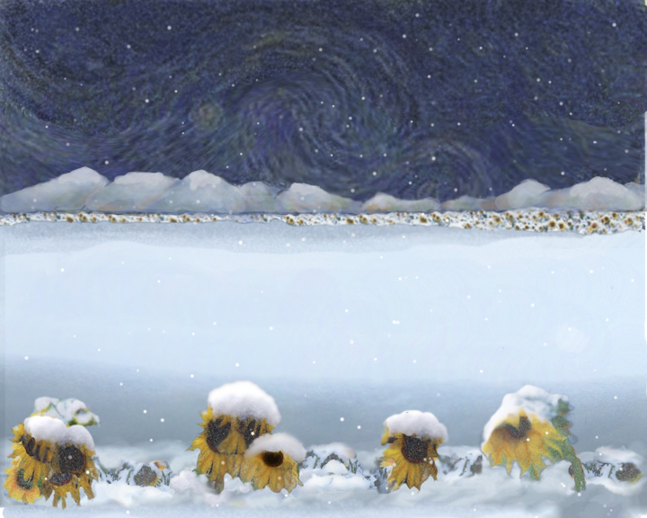 8x10 350 pix snow on Vincents pond  1.jpg